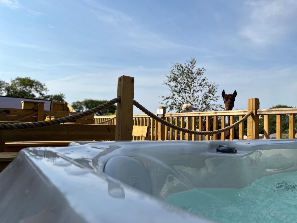 Jungle Book Safari Tent Тенби Экстерьер фото